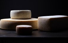 CHEES PRODUCER - PHOTO + VIDEO PRODUKTION / Client: Sennerei Drei Zinnen